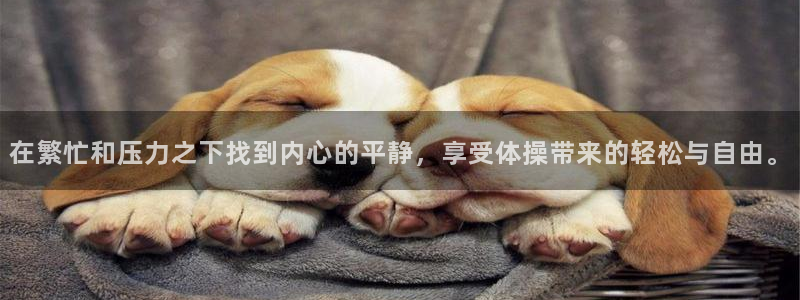 xc啥意思：在繁忙和压力之下找到内心的平静，享受体操带来的轻松与自由。