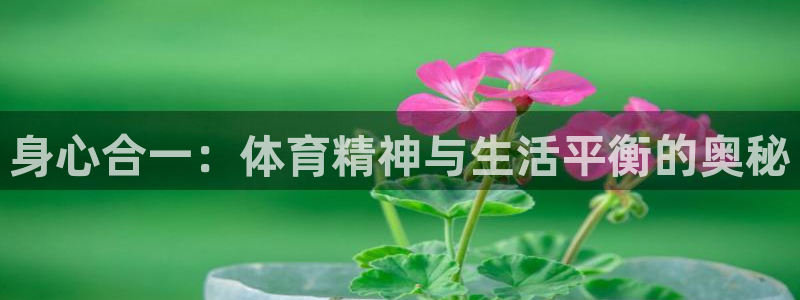 杏彩xc体育4：身心合一：体育精神与生活平衡的奥秘