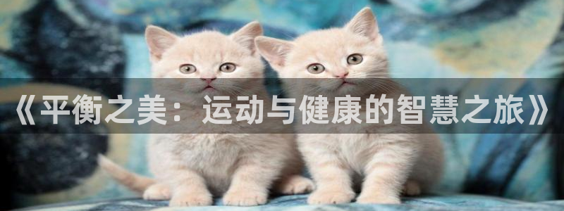 女人的xc是代表什么意思：《平衡之美：运动与健康的智慧之旅》