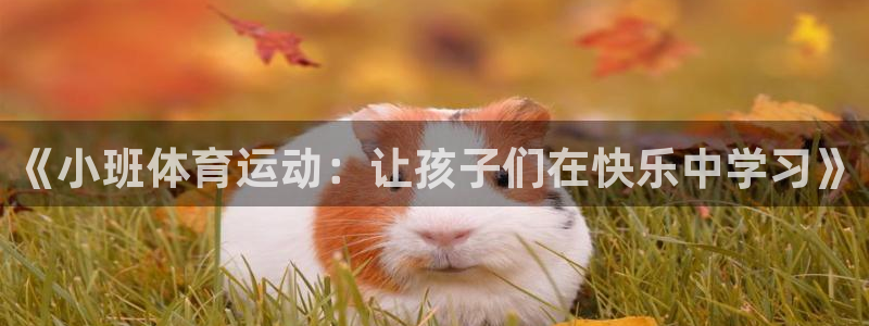 沃尔沃xc 90：《小班体育运动：让孩子们在快乐中学习》