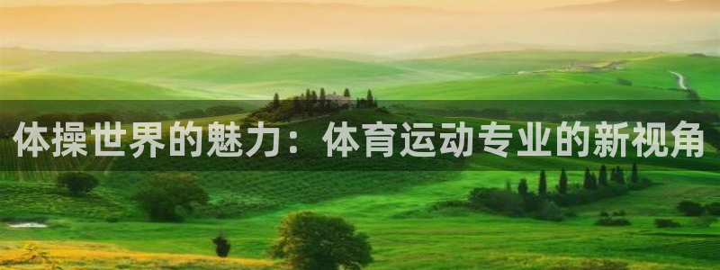 xc90 xc60：体操世界的魅力：体育运动专业的新视角