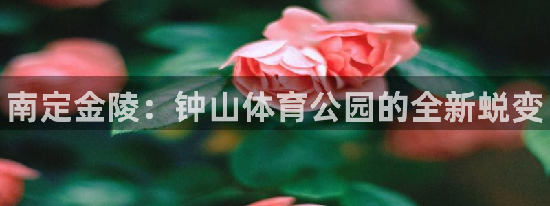 杏彩xc4登录：南定金陵：钟山体育公园的全新蜕变