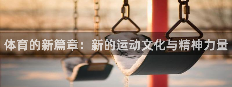 xc95：体育的新篇章：新的运动文化与精神力量