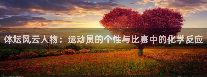xc啥意思：体坛风云人物：运动员的个性与比赛中的化学反应