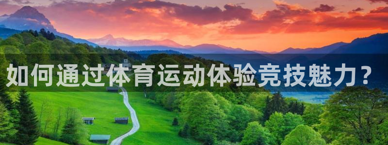 杏彩xc招商：如何通过体育运动体验竞技魅力？