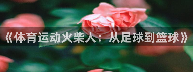 杏彩xckgame：《体育运动火柴人：从足球到篮球》