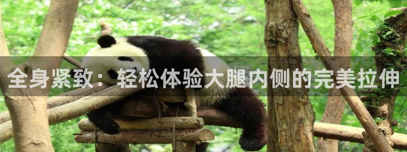 xc01：全身紧致：轻松体验大腿内侧的完美拉伸
