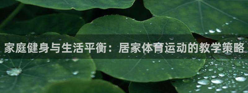 xc90 xc60：家庭健身与生活平衡：居家体育运动的教学策略