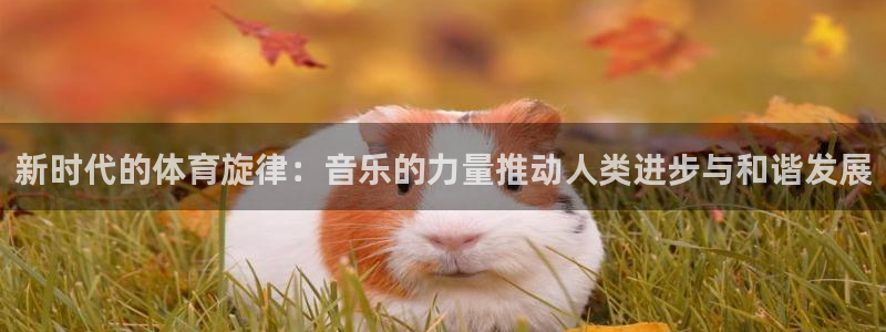 新沃尔沃xc90质量如何：新时代的体育旋律：音乐的力量推动人类进步与和谐发展