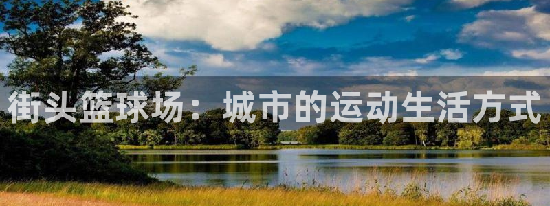 xc8866.xc：街头篮球场：城市的运动生活方式