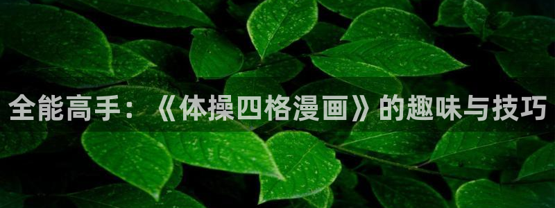 xc4：全能高手：《体操四格漫画》的趣味与技巧