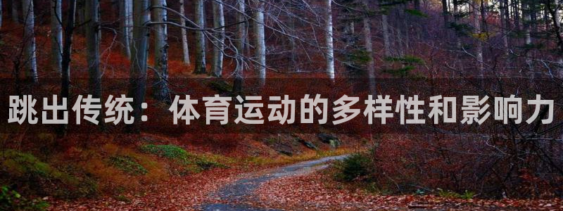 xc指的是什么：跳出传统：体育运动的多样性和影响力