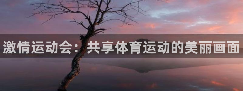 xc60 xc40 选择：激情运动会：共享体育运动的美丽画面
