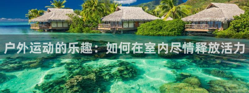 杏彩xc体育官网登录：户外运动的乐趣：如何在室内尽情释放活力