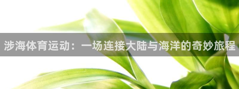 沃尔沃xc90多重：涉海体育运动：一场连接大陆与海洋的奇妙旅程