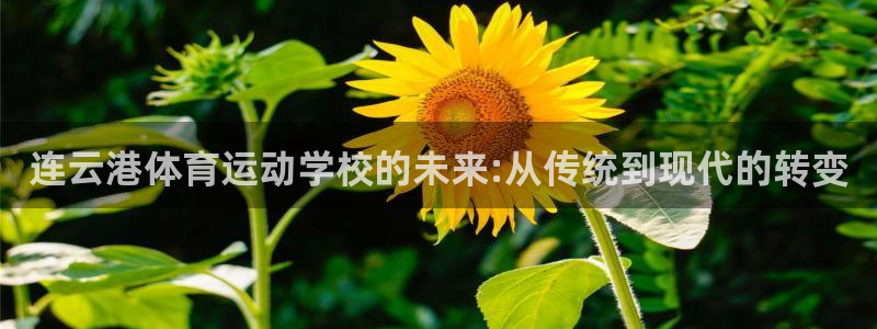 杏彩xc平台注册：连云港体育运动学校的未来:从传统到现代的转变