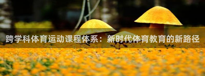 沃尔沃xc60有s档位吗：跨学科体育运动课程体系：新时代体育教育的新路径