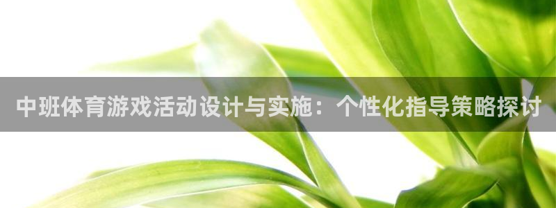 volve xc90：中班体育游戏活动设计与实施：个性化指导策略探讨