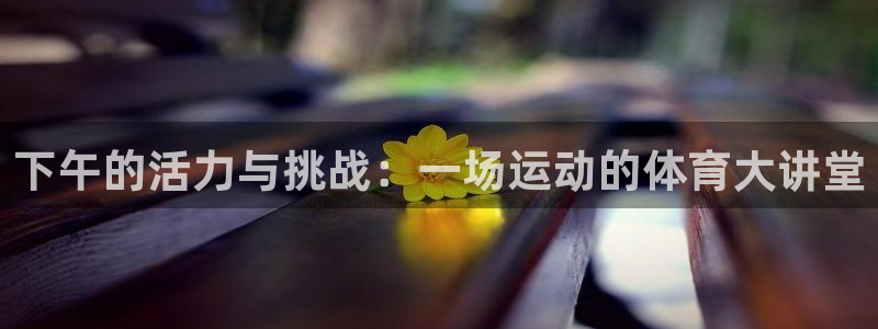 杏彩xc集团：下午的活力与挑战：一场运动的体育大讲堂